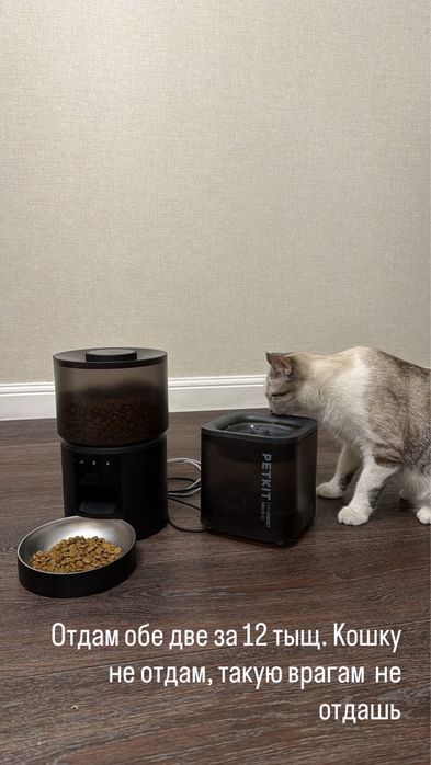 Автопоилка PETKIT solo