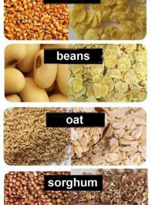 плющилка 150 кг/час 220 вольт