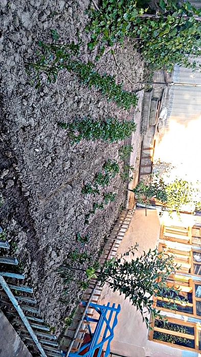 Parkent tumani Navbahor dacha 6 sotik uy-joy sotiladi.