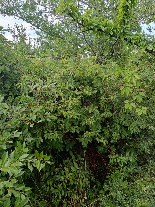 Продам дачу Со Дархан рассмотрим рассрочку