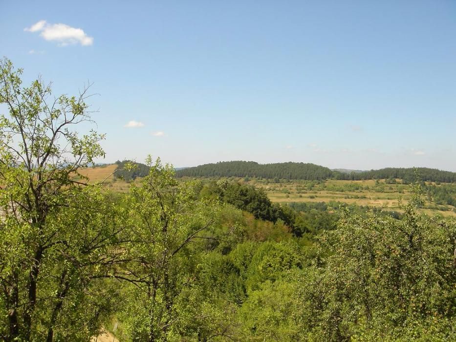 Парцел 4 800 м2 Троян с ПУП