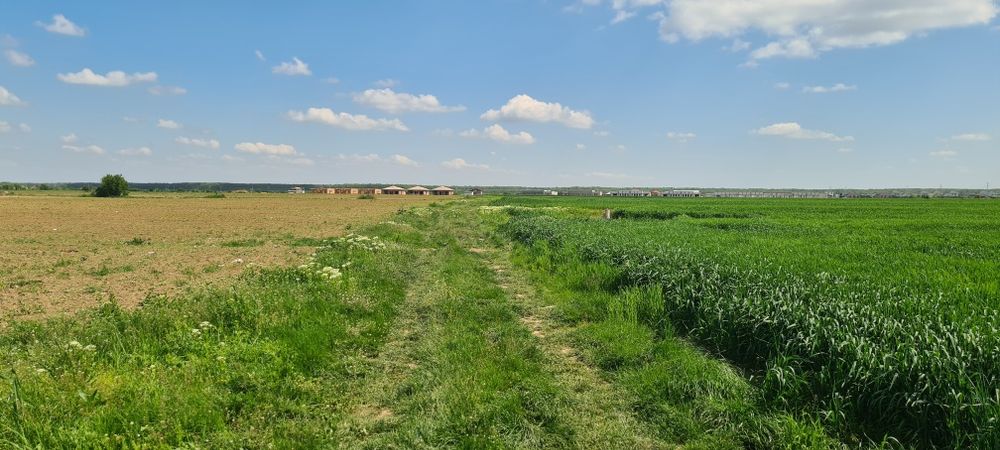Săbăreni teren 380–760 mp utili (500-1000 mp) lângă pădure – sub piață