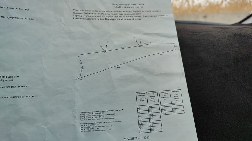 Яблоневый сад, кх