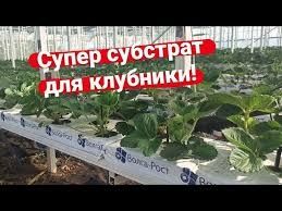 Минеральные маты для клубники