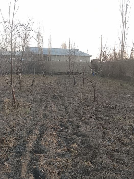 Maktab.bohicha.doʻkonlar.bor