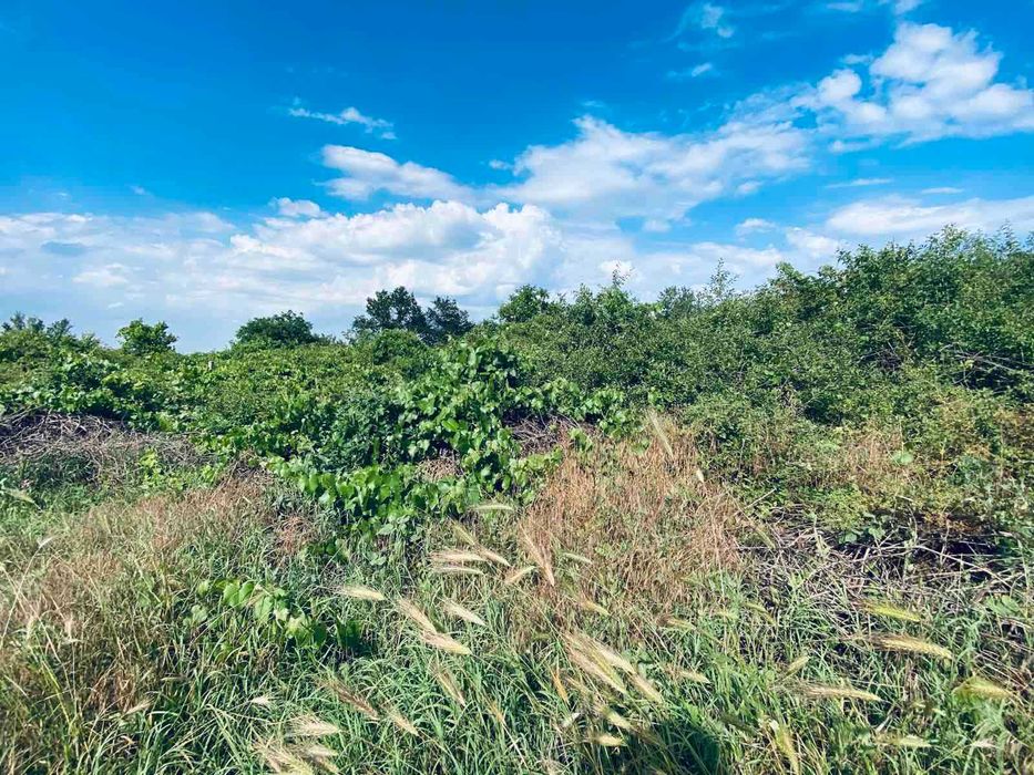 Продава се Земеделски имот в Варна, Възраждане 1 -  кв.м за 30 €/дка - Снимка #7