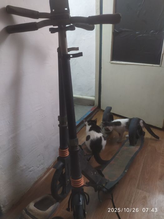 Продам самокаты бу