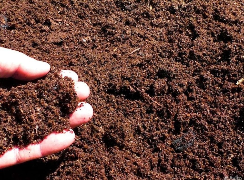 Перегной; чернозем