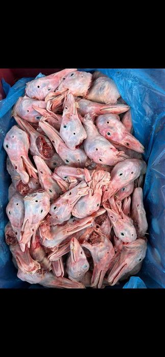 Месо за кучета/дробчета,кайма фенери/