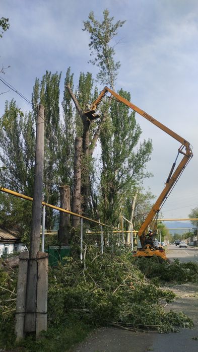 Спиль деревьев любой сложности