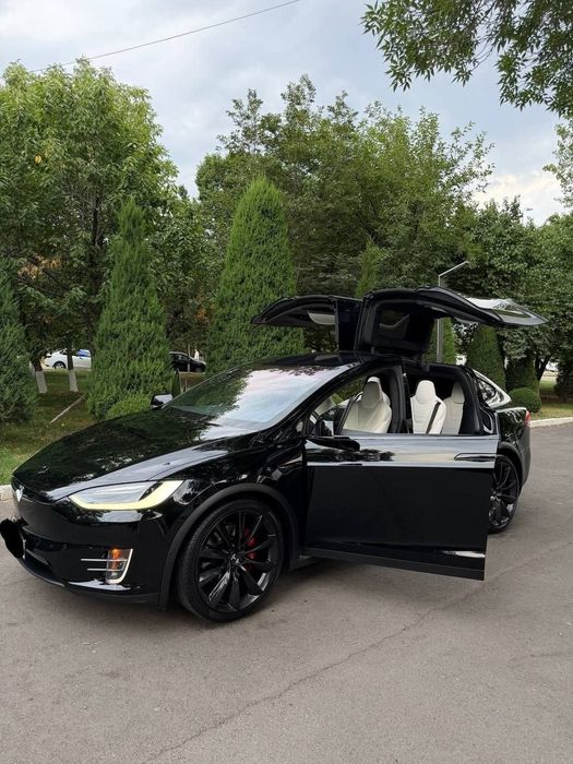 Tesla Model X Perfomance Duall Motor