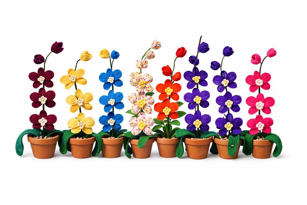 Orhidee crosetata manual