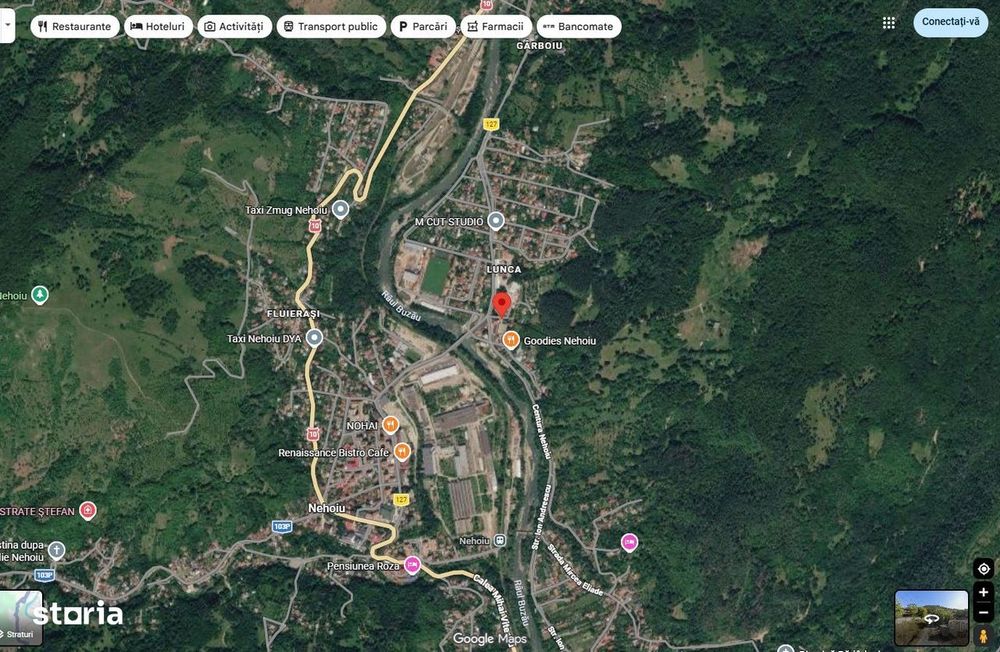 Teren cota parte 1/2  Nehoiu, ID: R3344812