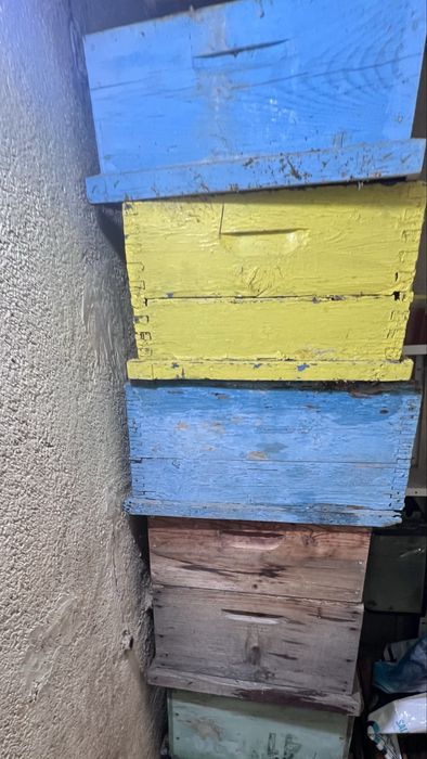 Продавам кошери многокорпусни и дадан блат