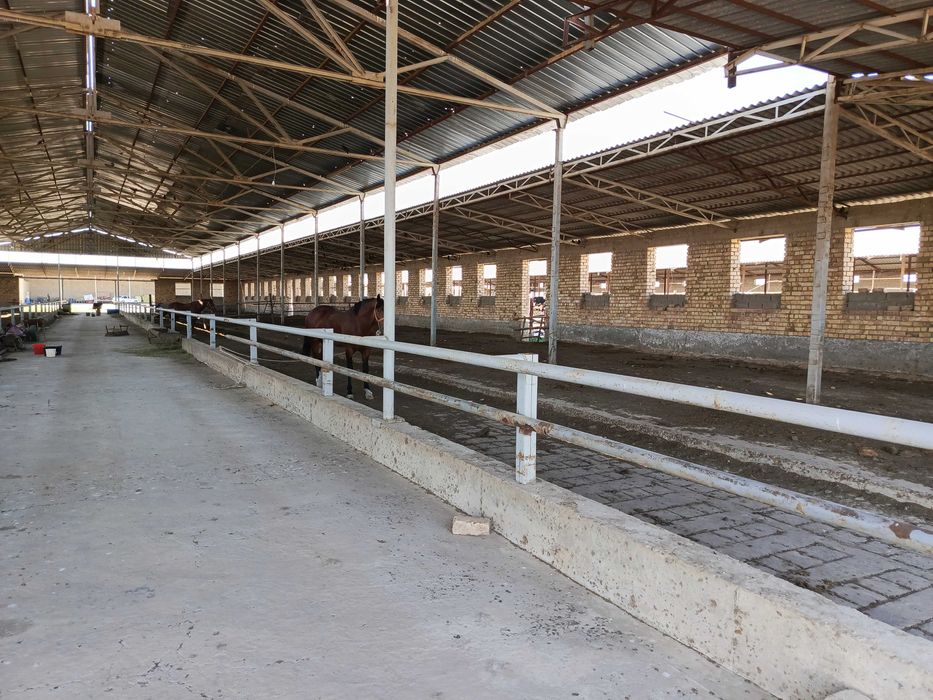 Ферма 3.5 Га город Каттакурган цена 450 000 уе торг есть