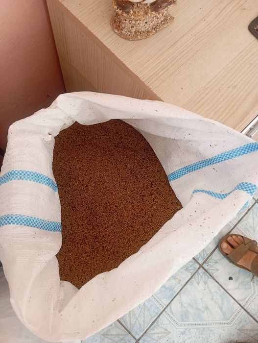 Vând Sămânță Lucernă