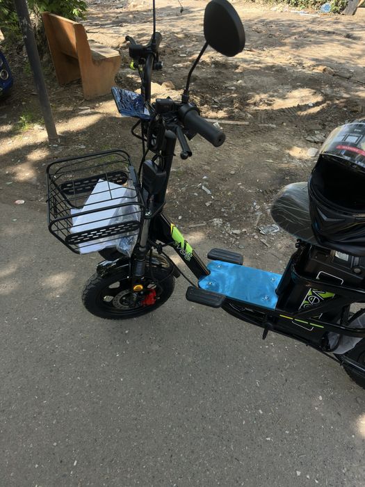 Drongo moster 2026 yil