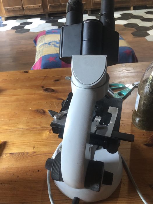 Microscop carl zeiss