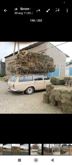 Xashak somon beda qamish