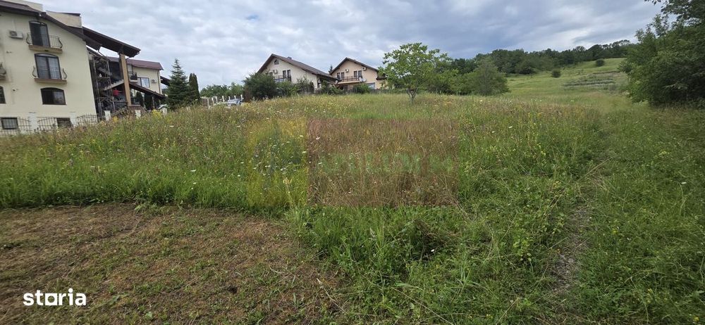 Teren de vanzare in Campina, Muscel