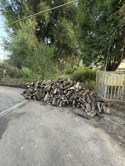 Дрова сухие карагач для шашлычных
