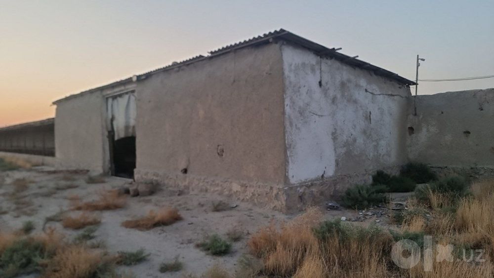 Navoiy shahri Tinchlik shaharchasidan2.65gektarjoyibormolxona sotiladi