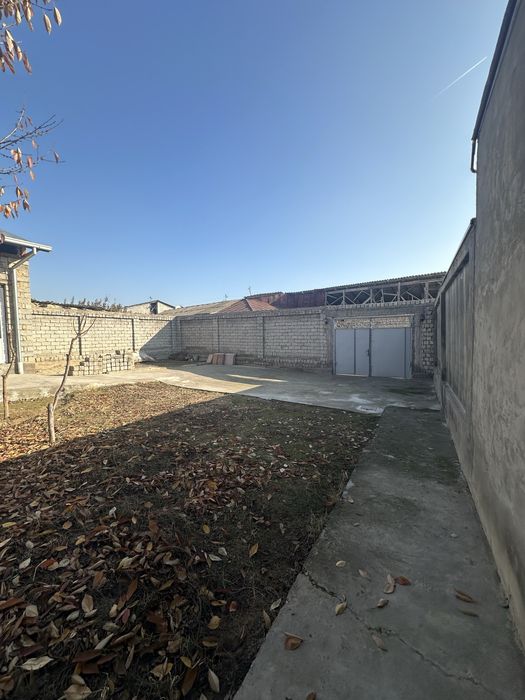 harakat mahalla 5 sotix 5 hona owhona sanuzel alohida