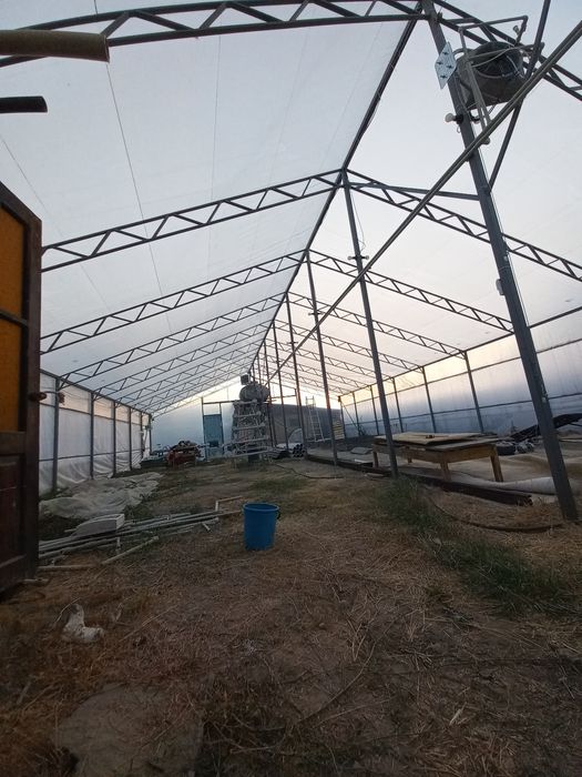 Теплица для выгонки тюльпана