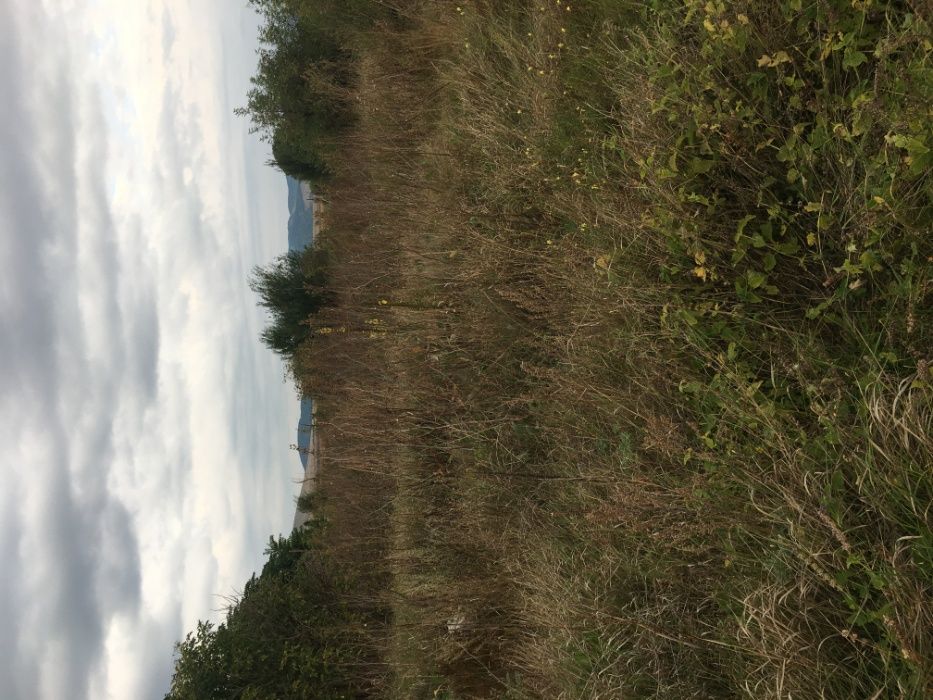 Продава се Парцел в Радомир - 6020 кв.м за 18 €/кв.м - Снимка #6