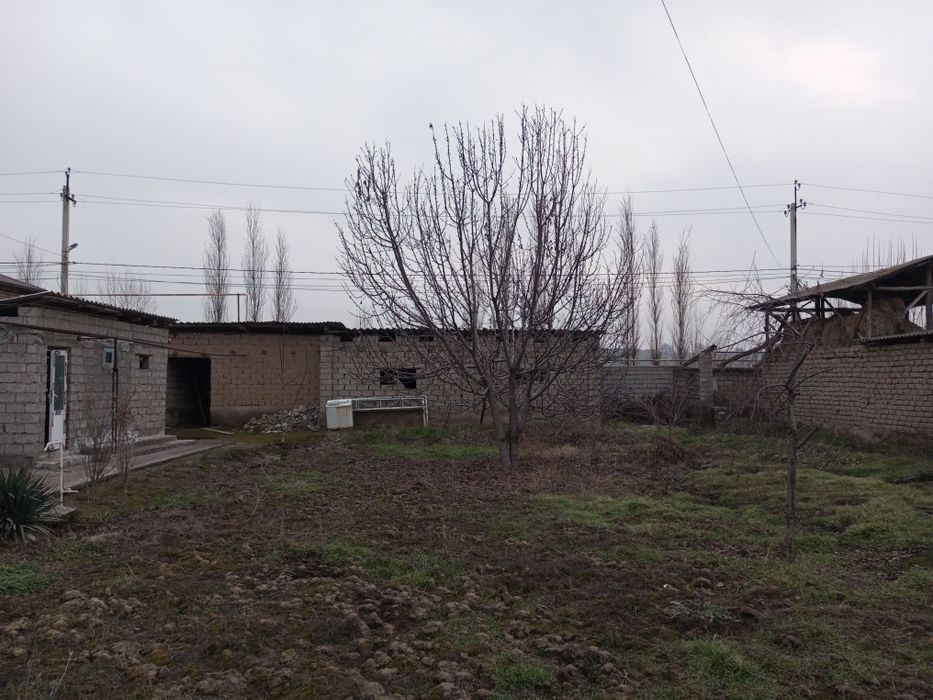 Срочно Уй сотилади янги Узбекистон