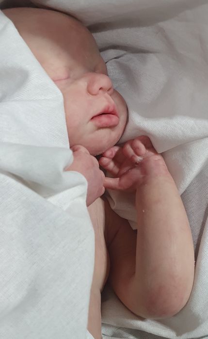 Papusa reborn silicon