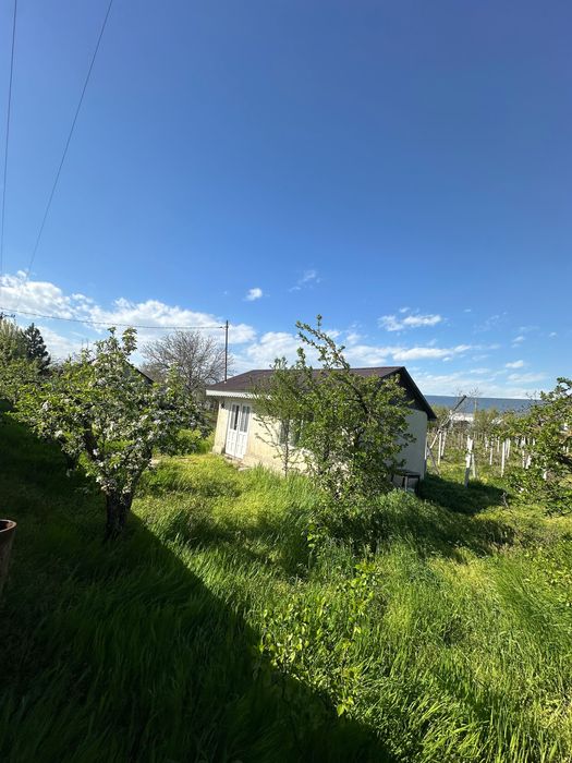 Vand loc de casa