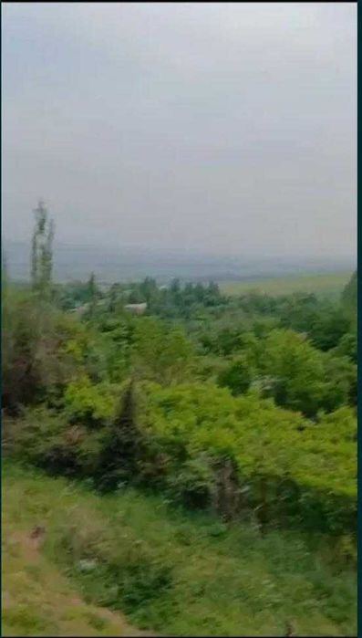 Ер сотилада Бостонлик туманида