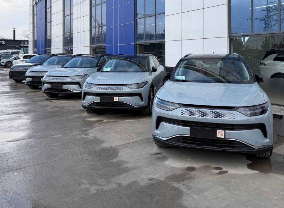 leopmotor c11 rasrochka