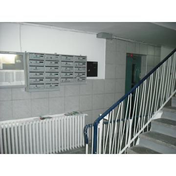 Firma de curatenie si intretinere a scarii blocului