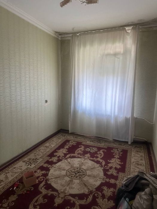 N7283 Olmazor tumani Qora qamish 1/4.   3/4/4