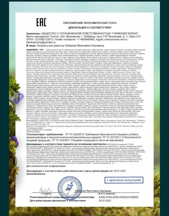Lion's mane, он же Ежевик ежовик Гребечатый - 50% мицелий 50 плоды