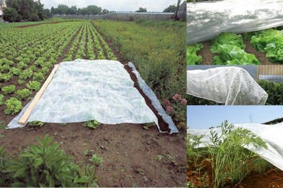 FOLIE Microporoasa ANTI INGHET-AGRIL 25.25x100m; 18.95x100m; 15.8x100m