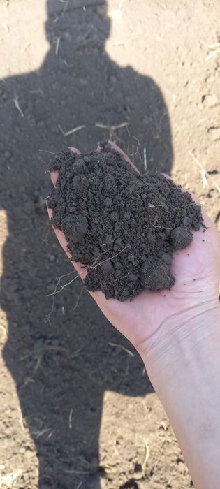 Чернозем горный.