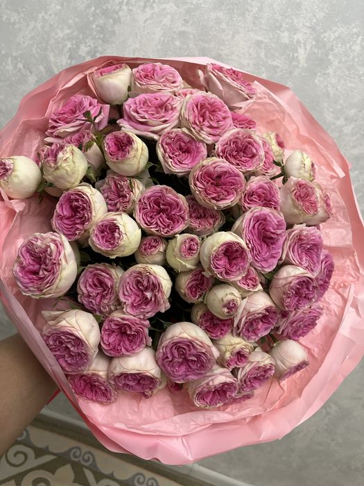 Пионы сатладыы кеше келды