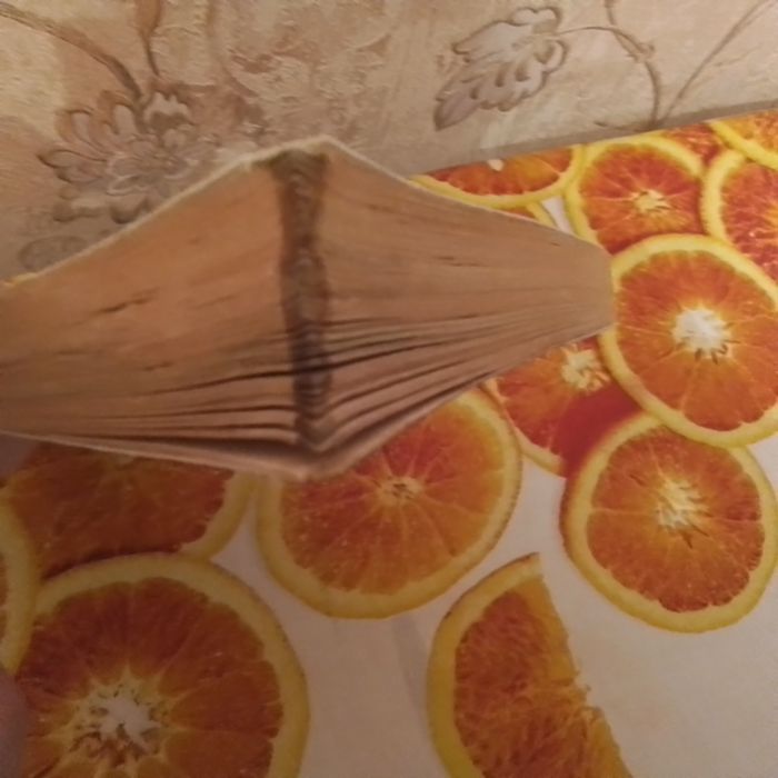 Книга "Золотой теленок".