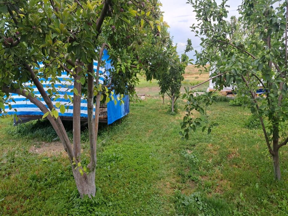 Сдается зона отдыха