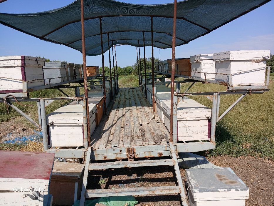 Pretsep asalari tashishga mo'ljallangan