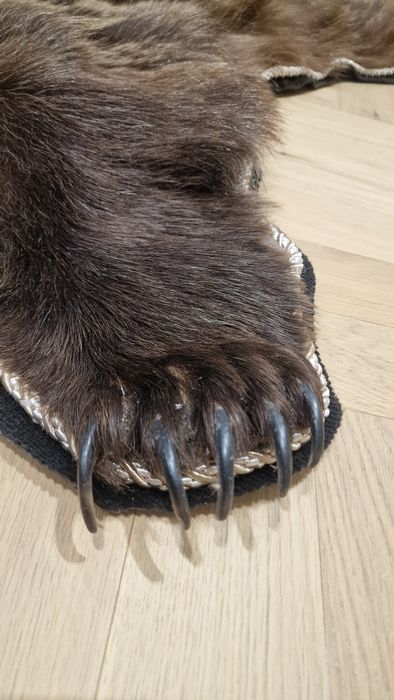 Ковёр из медвежьей шкуры