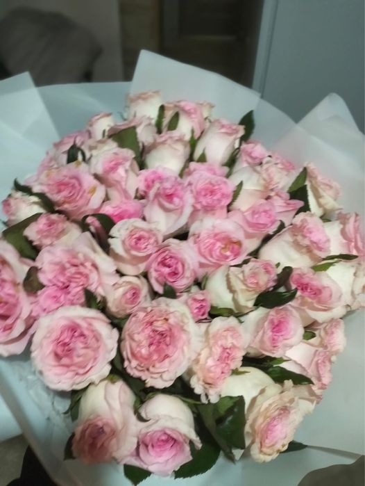 Продам свежие цветы