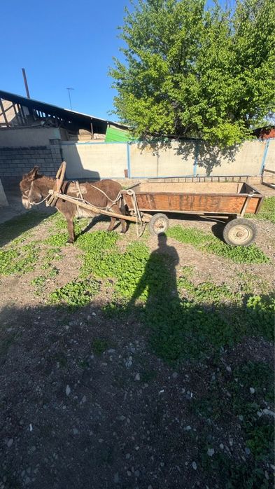 продается в комплекте