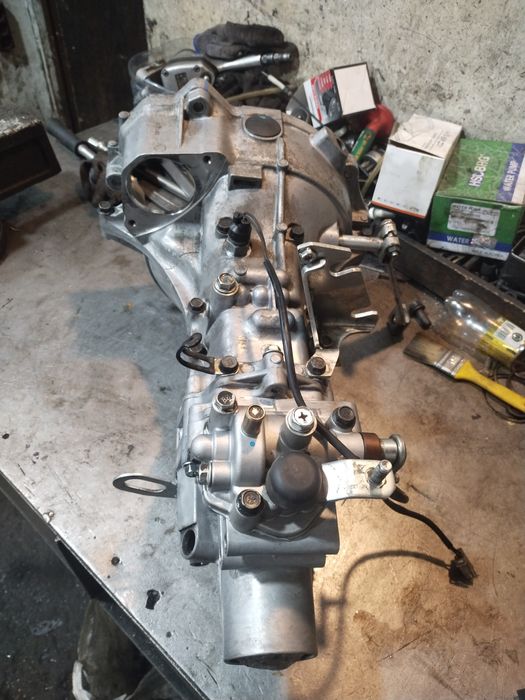 Дамас каропка заднимост бор