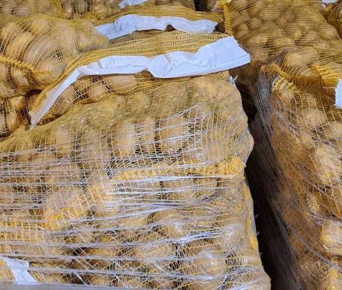 Продавам едри картофи за консумация, сорт Сорая