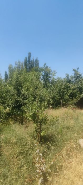 Bog' sotiladi. Judayam zo'r joyda joylashga