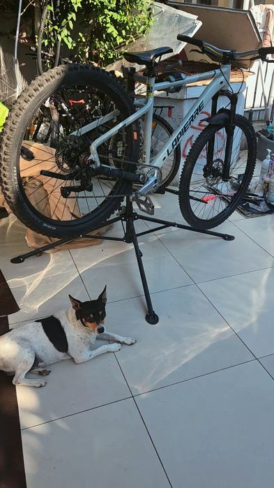 Vand cadru Lapierre/hardtail